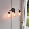 3-Light with Clear Glass Glacier Shade Unique Hand-make Lampshade Industrial Indoor Light Fixture for Bathroom Living Room Bedroom E26 Socket [No Bulb